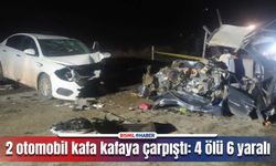 Diyarbakır istikametinden giden otomobil başka araçla kafa kafaya çarpıştı: 4 ölü 6 yaralı