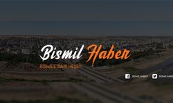 Diyarbakır’da cinsel saldırıdan hükümlü firari gardıropta yakalandı