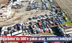 Diyarbakır'da 500'e yakın araç, çürümeye terk edildi