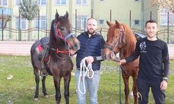 Geleneksel Rahvan At Yarışlarına Siirt Damgası