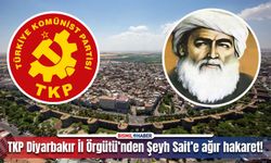 TKP Diyarbakır İl Örgütü’nden provakatif açıklama