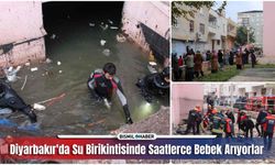 Diyarbakır'da Su Birikintisinde "Bebek Sesi" İddiası Ekipleri Harekete Geçirdi