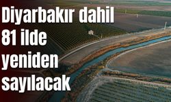 Diyarbakır dahil 81 ilde yeniden sayılacak