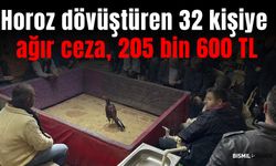 Horoz dövüştüren 32 kişiye ağır ceza, 205 bin 600 TL