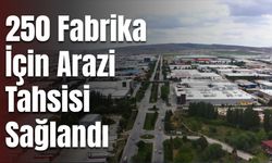 250 fabrika için sanayi parselleri oluşturuluyor