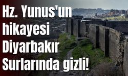 Hz. Yunus'un hikayesi, Diyarbakır Surlarında gizli!