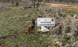 Mardin'de 25 Kiloluk Patlayıcı Madde Ele Geçirildi