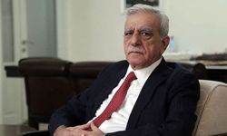 DEM Parti Ahmet Türk’ü ikna etti