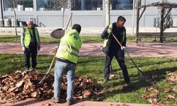 Diyarbakır'da parklarda temizlik çalışmaları yapılıyor