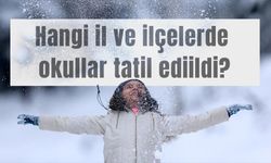 Hangi il ve ilçelerde okullar tatil ediildi?