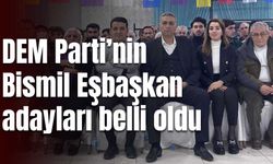 DEM Parti’nin Bismil Eşbaşkan adayları belli oldu