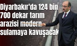 Diyarbakır'da 124 bin 700 dekar tarım arazisi modern sulama imkanlarına kavuşacak