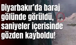 Diyarbakır’da baraj gölünde görüldü, saniyeler içerisinde gözden kayboldu!