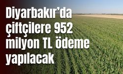 Diyarbakır’da çiftçilere 952 milyon TL ödeme yapılacak