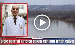 Diyarbakır’da Dicle Nehri’nde yaşam tehdit altında