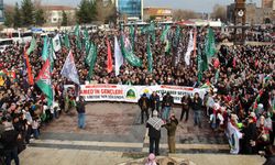 Diyarbakır’da Filistin yürüyüşü mitinge dönüştü!