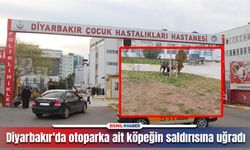 Diyarbakır'da köpek saldırısına uğrayan çocuk yaralandı