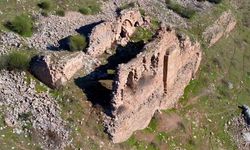 Diyarbakır'da XII. yüzyılda yapılmış Taciyan Camiinin restorasyonu için etüt çalışması