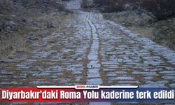 Diyarbakır'daki 2000 yıllık Roma Yolu, yok olma tehlikesi ile karşı karşıya