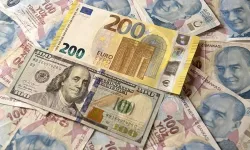 Dolar-Euro bugün ne kadar? 10 Ocak güncel döviz kurları!