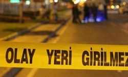 Şanlıurfa'da alacak meselesi kavgaya dönüştü: 2 ölü