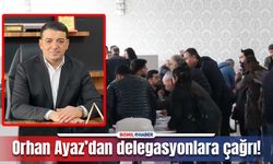 Bismil DEM Parti Eşbaşkan aday adayı Ayaz’dan delegelere çağrı!