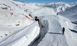 Şırnak'ta kar kalınlığı 2 metreyi geçti! Tanin Tanin Geçidi 15 gündür kapalı