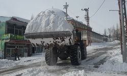 Van'da kar kütlesi kamyonlarla taşınıyor