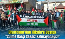 Diyarbakır'dan Filistin'e Destek: "Zulme Karşı Sessiz Kalmayacağız!"