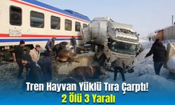 Tren Hayvan Yüklü Tıra Çarptı, 2 Ölü 3 Yaralı