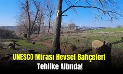 UNESCO Mirası Hevsel Bahçeleri Tehlike Altında mı?