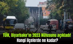 TÜİK, Diyarbakır'ın 2023 Nüfusunu açıkladı! Hangi ilçelerde ne kadar?