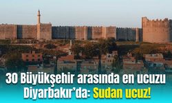 30 Büyükşehir arasında en ucuzu Diyarbakır’da: Sudan ucuz!