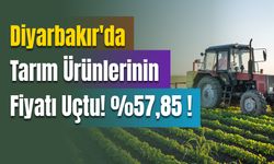 Tarım Ürünlerinde Fiyatlar Uçtu! %57.85