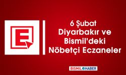 6 Şubat Diyarbakır ve Bismil'deki Nöbetçi Eczaneler