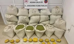 Adana'da 617 kilogram esrar yakalandı