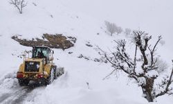 Batman'da Kar Engeli Kalkıyor: 22 Köy ve 17 Mezraya Ulaşım Sağlandı!