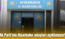Ak Parti’nin Diyarbakır’daki aday tanıtım toplantısı bu tarihte yapılacak