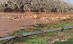 Şanlıurfa'da Sel yüzünden mahalleler Sular Altında Kaldı, Köprü Çöktü!