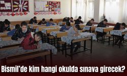 Bismil’de yarın sınav var: Kim hangi okulda girecek?