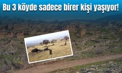 Bitlis, Siirt ve Şırnak'ta bu köylerde sadece birer kişi yaşıyor