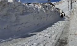 Yılın 6 ayı kar altında kalıyor! Çocuklar Türkiye'nin en yüksek köyüne kayak merkezi istiyor