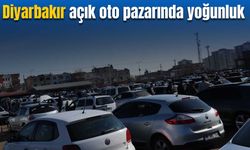 Diyarbakır açık oto pazarı karınca yuvasına döndü: 80 araç sahibine kavuştu