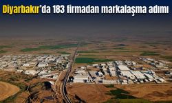 Diyarbakır’da 183 firmadan markalaşma adımı