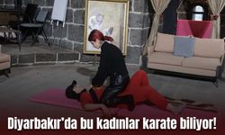 Diyarbakır’da kadınlara yakın savunma eğitimi