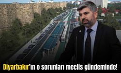 Dinç: “Diyarbakır’da tramvay da yok, trambüs, metro ve otoban da yok”