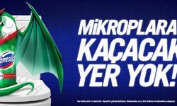 Domestos'un mikrop zihniyeti! Filistin renkleriyle aşağılık reklam