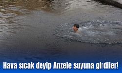 Diyarbakır’da hava sıcak deyip Anzele suyuna girdiler: Bakın sonra ne oldu!