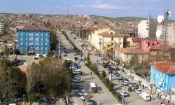 Bölgede 1958-1959 Yılı Kara Yara (Birîna Reş) Hastalığı Felaketi