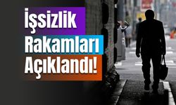 2023 Verileri Açıklandı: Türkiye'de İşsizlik Ne Kadar?